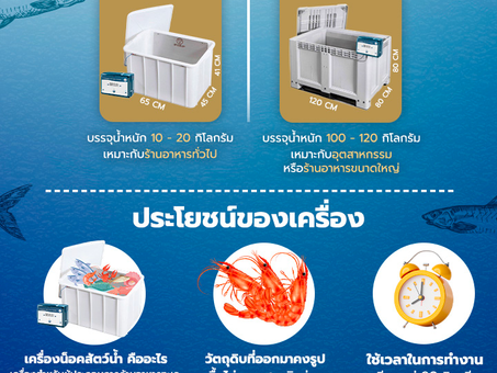 7 September 2022 เตรียมอาหารทะเลสด ด้วยเครื่องน็อคสัตว์น้ำ