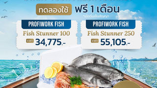 Start Your Fresh Journey with 𝐋𝐞𝐭'𝐬 𝐬𝐞𝐚