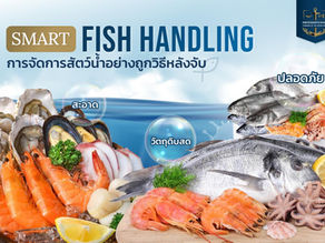 การจัดการสัตว์น้ำอย่างถูกวิธีหลังจับ