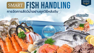 การจัดการสัตว์น้ำอย่างถูกวิธีหลังจับ