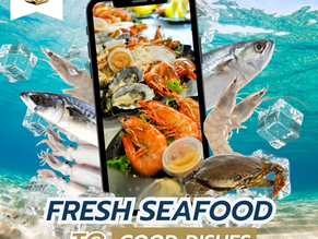Keeping seafood fresh to good dishes.