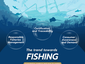 The trend towards fishing in Thailand